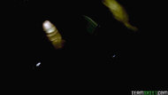 Dillion Carter - Uber Fuck 03-31-j4fvwxmkxf.jpg